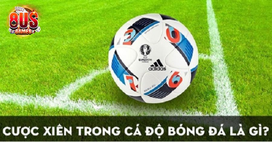 Cược xiên là gì? Cược xiên là gì?