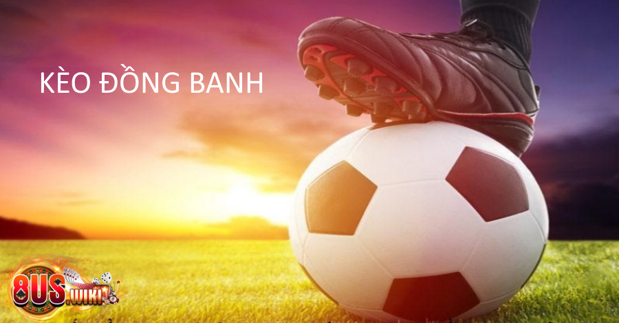 Hướng dẫn đọc kèo bóng đá chi tiết kèo đồng banh Hướng dẫn đọc kèo bóng đá chi tiết kèo đồng banh
