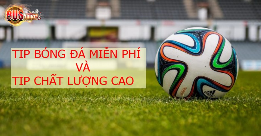 Phân biệt tip bóng đá miễn phí chất lượng và tip chất lượng cao Phân biệt tip bóng đá miễn phí chất lượng và tip chất lượng cao