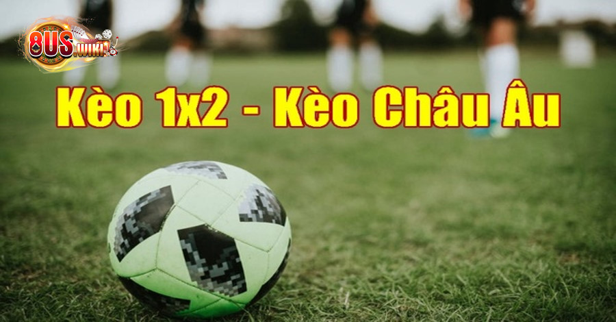 Hướng dẫn đọc kèo 1X2 chi tiết Hướng dẫn đọc kèo 1X2 chi tiết
