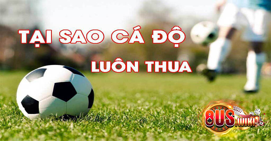 Tại Sao Cá Độ Bóng Đá Luôn Thua: Những Nguyên Nhân Cần Khám Phá 6 8US.VN Tìm hiểu Tại sao cá độ bóng đá luôn thua