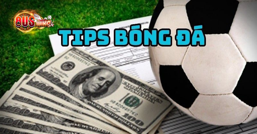 Tips Bóng Đá Là Gì? Những Thông Tin Không Thể Bỏ Lỡ 7 8US.VN Khái niệm tips Bóng Đá Là Gì?