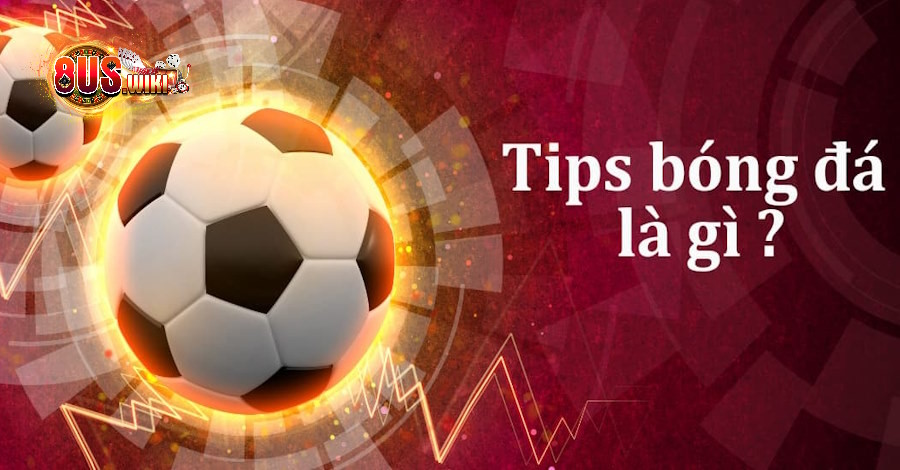 Tips Bóng Đá Là Gì? Những Thông Tin Không Thể Bỏ Lỡ 6 8US.VN Kèo tips bóng đá là gì